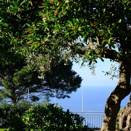 Casa Panorama Lejlighed